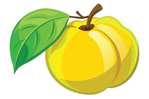 A bright yellow quince fruit with a green leaf, showcasing its round shape and smooth texture against a simple background vector