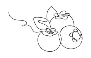 Blueberries in continuous line art drawing style vector