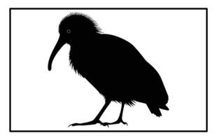 Silhouette of a Kiwi Bird - Unique Flightless Bird Clipart vector