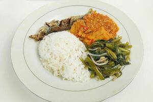 Rice mixed with fried fish and tempeh vegetables on a white plate, on the table photo
