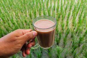 Chocolate milk in a glass is held above the rice fields photo