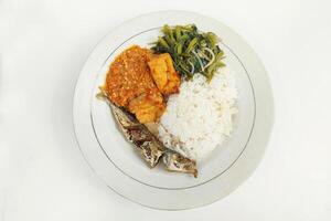 Rice mixed with fried fish and tempeh vegetables on a white plate, on the table photo