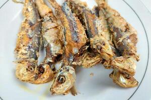 Small fried fish on a white plate on the dining table photo