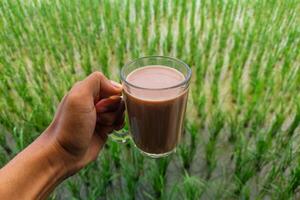 Chocolate milk in a glass is held above the rice fields photo