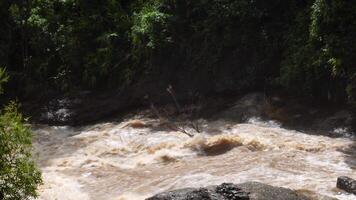 A strong current near a waterfall. Floods flowing in mountain rivers after heavy rains. Flash floods, the effects of global warming and the effects of deforestation. video