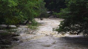 A strong current near a waterfall. Floods flowing in mountain rivers after heavy rains. Flash floods, the effects of global warming and the effects of deforestation. video