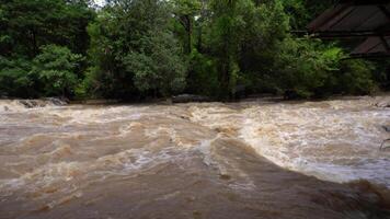 A strong current near a waterfall. Floods flowing in mountain rivers after heavy rains. Flash floods, the effects of global warming and the effects of deforestation. video