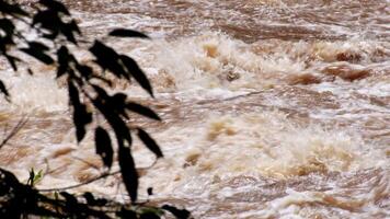 A strong current near a waterfall. Floods flowing in mountain rivers after heavy rains. Flash floods, the effects of global warming and the effects of deforestation. video