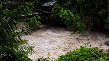 A strong current near a waterfall. Floods flowing in mountain rivers after heavy rains. Flash floods, the effects of global warming and the effects of deforestation. video