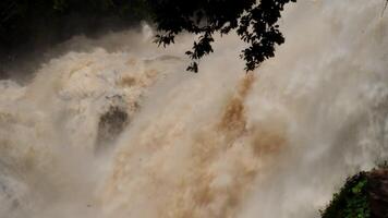 A strong current near a waterfall. Floods flowing in mountain rivers after heavy rains. Flash floods, the effects of global warming and the effects of deforestation. video