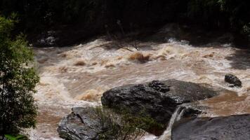 A strong current near a waterfall. Floods flowing in mountain rivers after heavy rains. Flash floods, the effects of global warming and the effects of deforestation. video