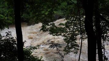 A strong current near a waterfall. Floods flowing in mountain rivers after heavy rains. Flash floods, the effects of global warming and the effects of deforestation. video
