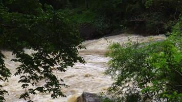 A strong current near a waterfall. Floods flowing in mountain rivers after heavy rains. Flash floods, the effects of global warming and the effects of deforestation. video