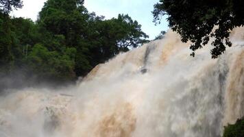 A strong current near a waterfall. Floods flowing in mountain rivers after heavy rains. Flash floods, the effects of global warming and the effects of deforestation. video