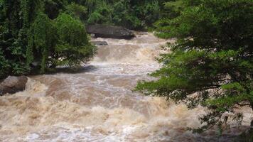 A strong current near a waterfall. Floods flowing in mountain rivers after heavy rains. Flash floods, the effects of global warming and the effects of deforestation. video