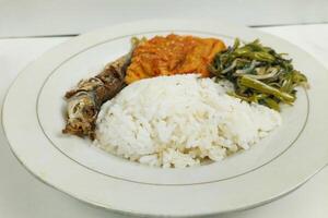 Rice mixed with fried fish and tempeh vegetables on a white plate, on the table photo