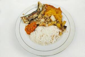 Rice mixed with fried fish and tempeh vegetables on a white plate, on the table photo