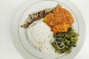 Rice mixed with fried fish and tempeh vegetables on a white plate, on the table photo