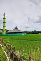 A mosque on the edge of rice fields in the countryside photo