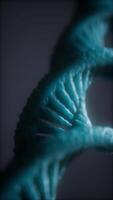 loopable structure of the DNA double helix animation video