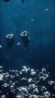 immense cluster of perilous asteroids within a misty universe, vertical video