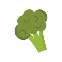 illustration of green broccoli floret with a thick stalk and rounded top vector