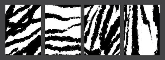 Set of zebra textures. Animal skin patterns. Collection of zebra skin backgrounds. Black and white expressive brush strokes. Textures painted with dry brush. Birch bark texture vector