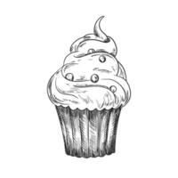 Sketch style cupcake isolated on white background. Engraving style cake with cream. Black and white linear dessert. Cupcake drawing with hatching vector