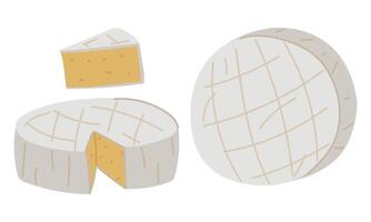 set of variously shaped pieces of Camembert cheese, a French soft creamy dish with flat style brie cheese, highlighted on a white background. Isolated objects. A whole circle, a triangle, a cut piece vector