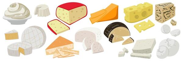 A set of colored flat cheeses of various types. Group illustrations of cheeses in different positions, slicing, individual pieces, a modern collection of dairy products. Popular cheeses in variety vector