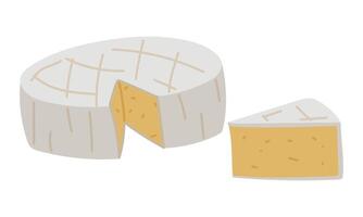 a set of round and triangular pieces of Camembert cheese, a French soft creamy dish with brie cheese in the form of tortillas highlighted on a white. Individual items. A triangle cut out of a circle vector