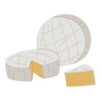group of variously shaped pieces of Camembert cheese, a French soft creamy dish with brie cheese in a flat style, highlighted on a white background. Pieces together whole circle, triangle, cut piece vector
