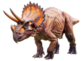 Triceratops Dinosaur Isolated on Transparent Background Ideal for Animations png