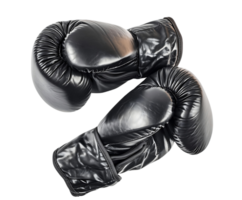 Realistic Boxing Gloves Isolated on Transparent Background png