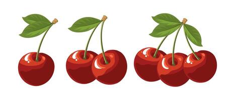 Set of twigs with cherries isolated on white background. Sweet red berry. Illustration, fruit icons vector