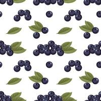 Seamless pattern with blueberry berries and leaves on white background. Fruit background, packaging illustration vector