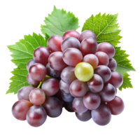 grape isolate on transparency background png