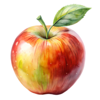 Watercolor hand drawn apple isolate on transparency background png