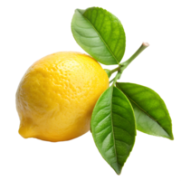 lemon and leaf stems isolate on transparency background png