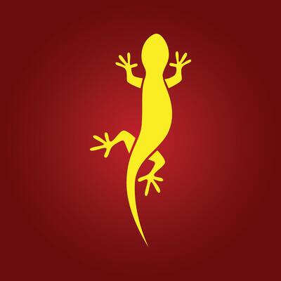 Lizard trendy artwork incredible abstract illustration colorful useful design