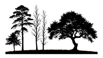 A variety of tree silhouettes in different shapes and sizes, vector