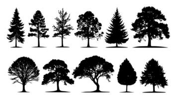 Diverse silhouettes of trees in an array of shapes and sizes. vector