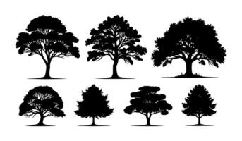 Set of tree shadow figures. vector