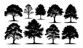 Compilation of tree forms in silhouette. vector