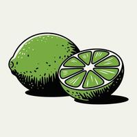 Whole and sliced lime illustration in retro style vector