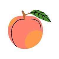 A colorful illustration of a peach with a leaf on a white background vector