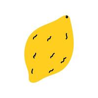 Bright yellow lemon with textured skin isolated on a white background creating a vibrant visual vector