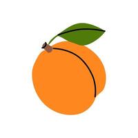 A vibrant orange peach with a green leaf resting against a white background vector