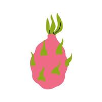 Distinctive pink dragon fruit with vibrant green spines on a plain background vector