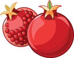 Two ripe red pomegranates with seeds showing vector
